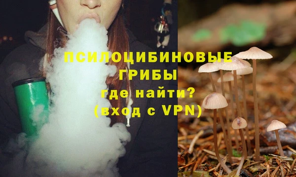 амф Алзамай