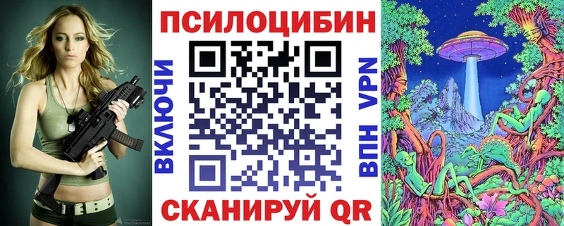 Галлюциногенные грибы мухоморы  дарнет шоп  Каменка 