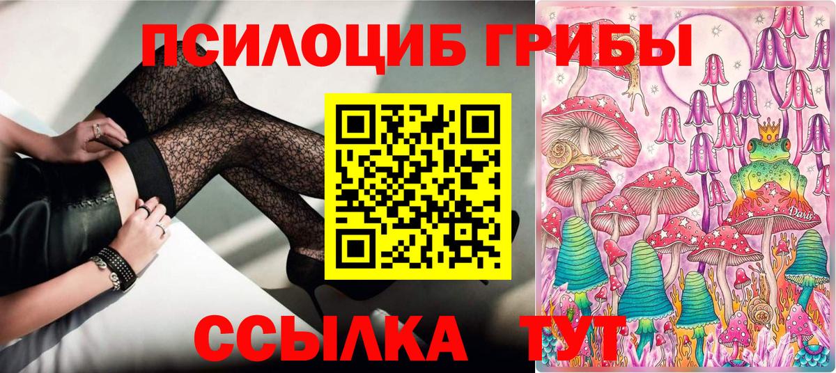 Галлюциногенные грибы мицелий  как найти   Каменка  Вход с VPN  Галлюциногенные грибы Cubensis 