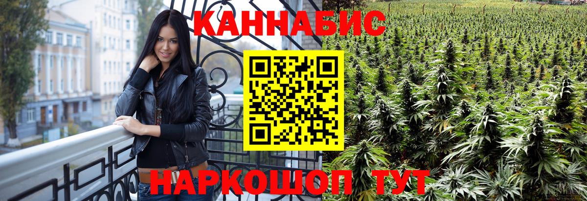 Каменка  Марихуана план  Вход с VPN  Бошки Шишки OG Kush 